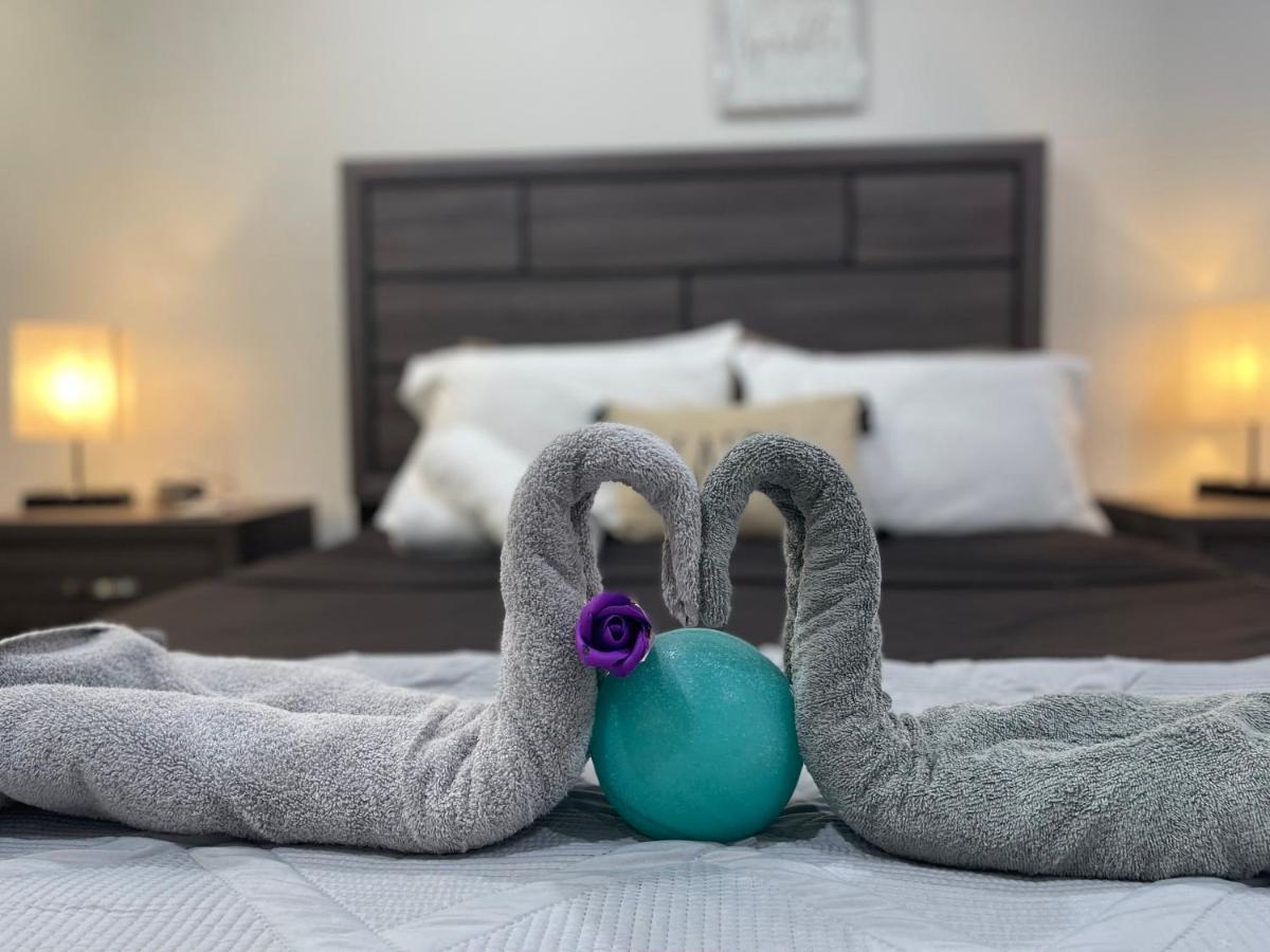 Modern Santorini Suite Houston Nrg Tmc Luxurious Walkable Εξωτερικό φωτογραφία